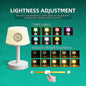 Table Lamp Quran speaker with Digital APP & Remote