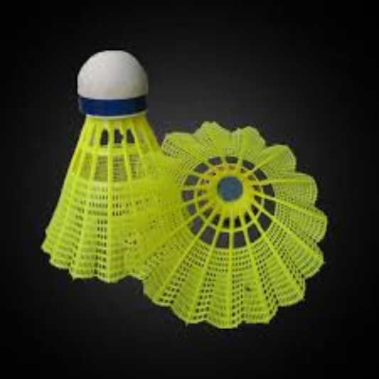 Shuttlecock Nylon 6 Piece